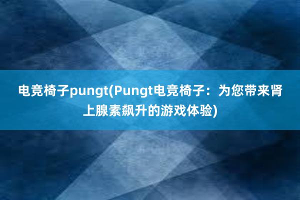 电竞椅子pungt(Pungt电竞椅子：为您带来肾上腺素飙升的游戏体验)